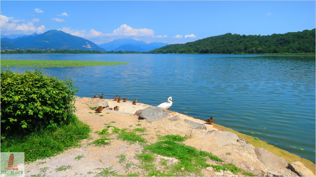Lago di Alserio